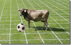 CowWithBall