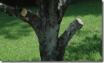 Stub