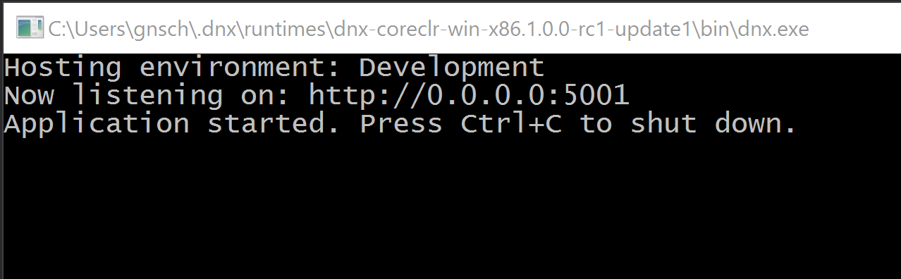 RunWebApi