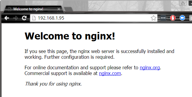 nginx-container