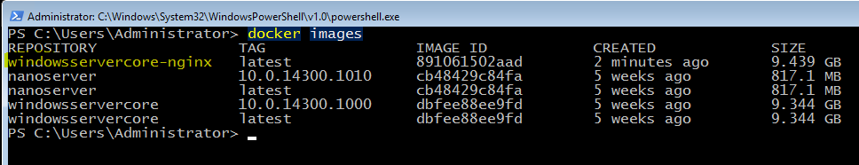 nginx-image